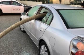 Mobil Sedan yang Berakhir Nahas, Karena Parkir di Samping Hidran. (Twitter/AnaheimFire)