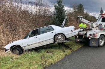 Mobil yang dikemudikan anjing. (Washington State Patrol)
