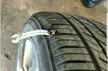 Kompilasi benda ekstrem yang bikin ban sobek. (Instagram)
